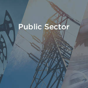 Public Sector